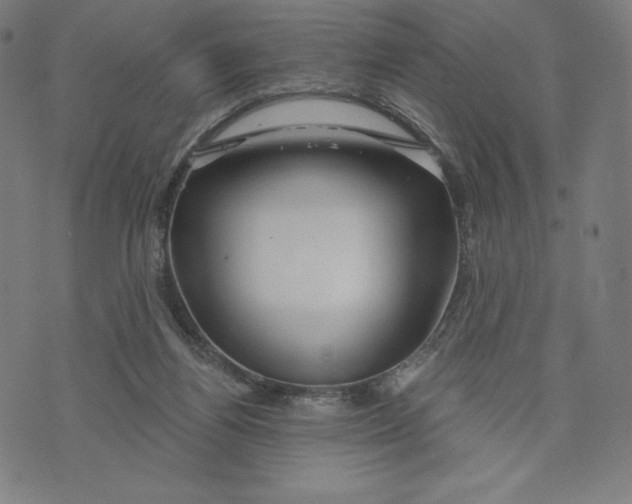 X0000073990164200609111542