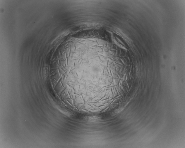 X0000073990165200609111542