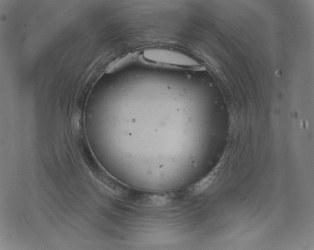 X0000073990166200609111542