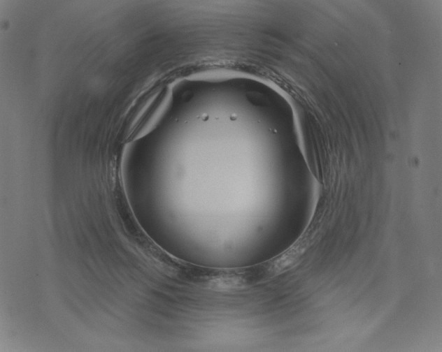 X0000073990168200609111542