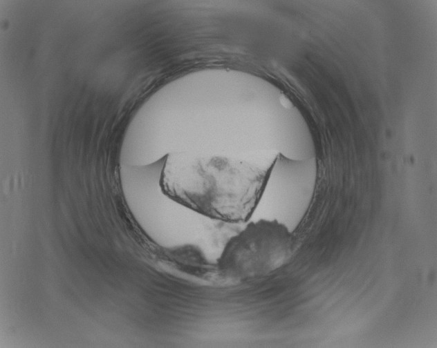 X0000073990169200609111542