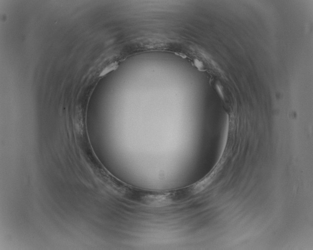 X0000073990170200609111542