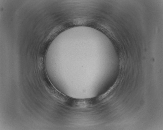 X0000073990171200609111542