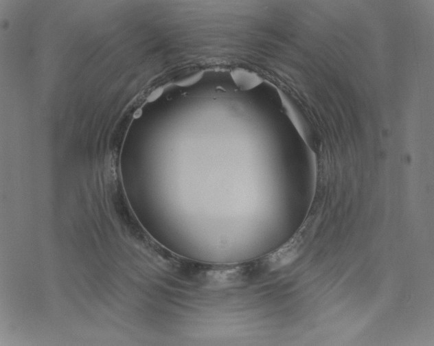 X0000073990172200609111542