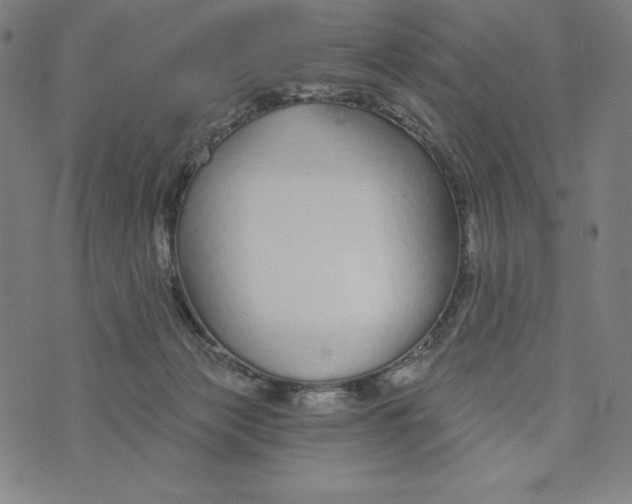 X0000073990173200609111542