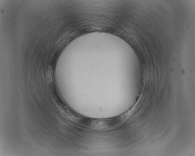 X0000073990174200609111542