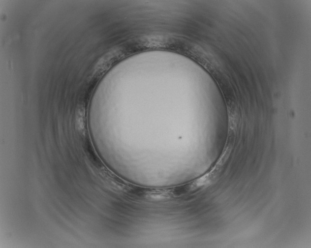 X0000073990175200609111542