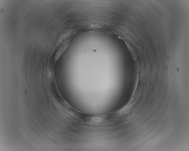 X0000073990176200609111542