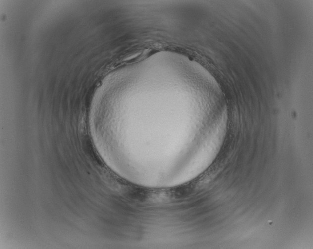 X0000073990177200609111542