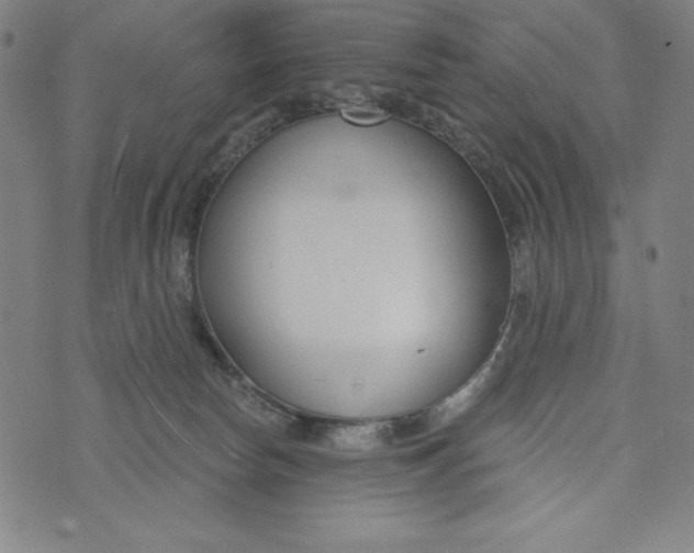 X0000073990178200609111542