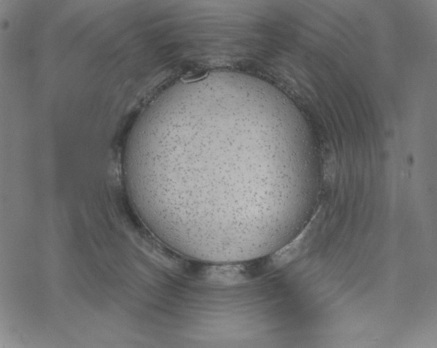 X0000073990179200609111542