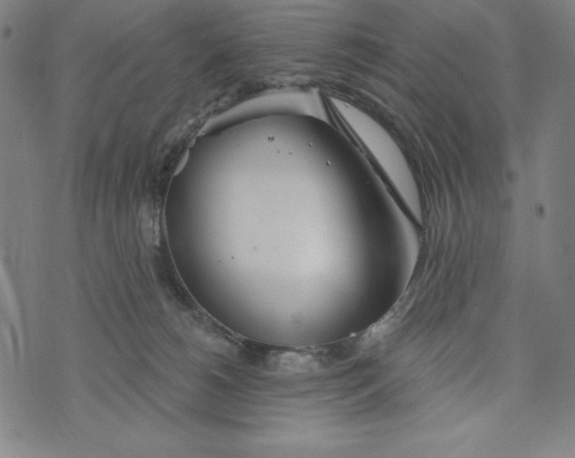 X0000073990180200609111542