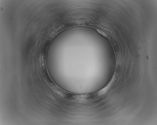 X0000073990182200609111542