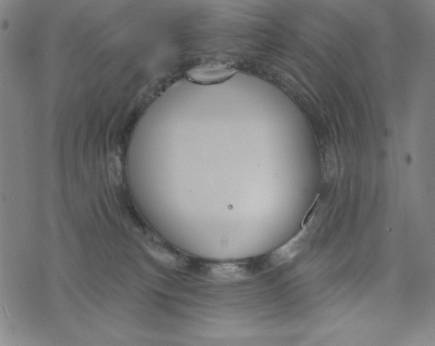 X0000073990183200609111542