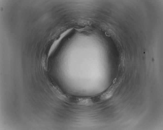 X0000073990185200609111542