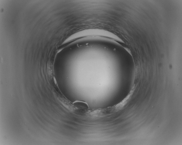 X0000073990186200609111542