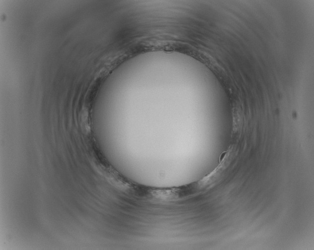 X0000073990187200609111542