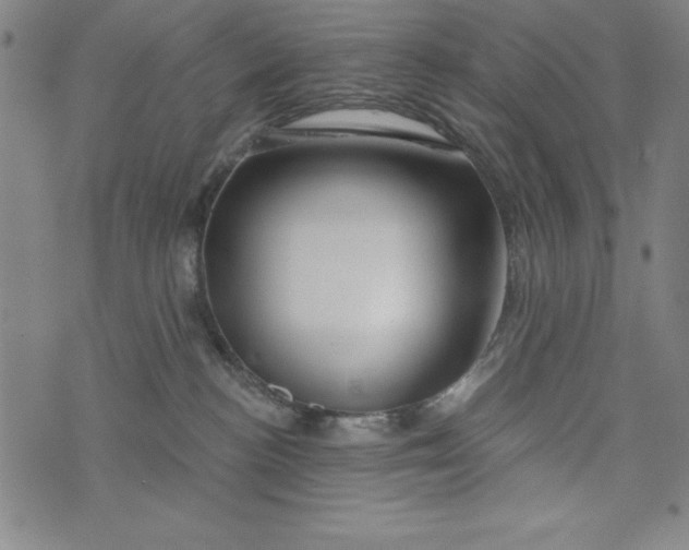 X0000073990188200609111542