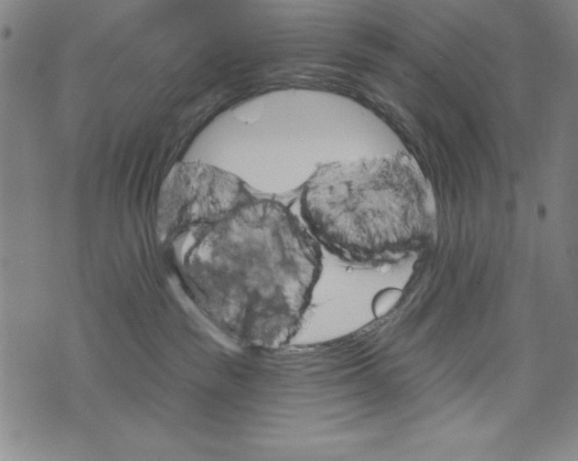 X0000073990189200609111542