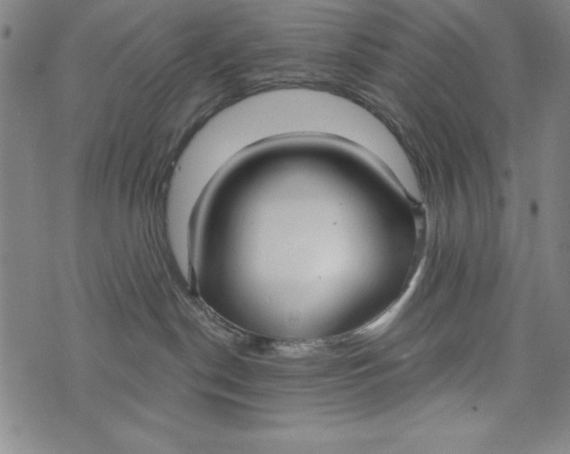 X0000073990190200609111542