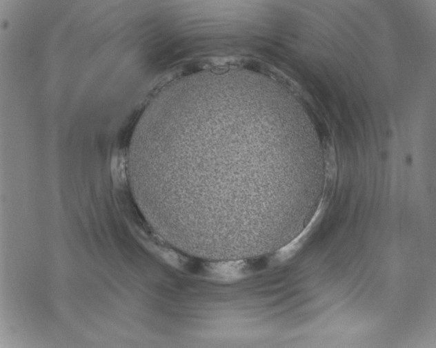 X0000073990191200609111542