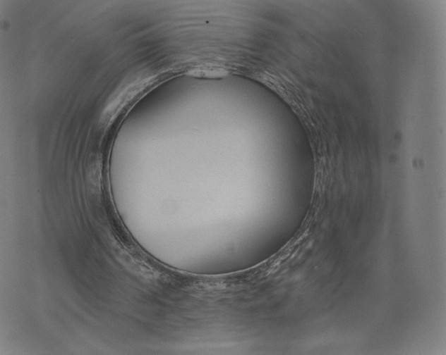 X0000073990194200609111542