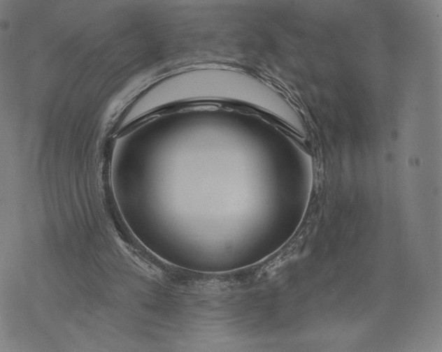 X0000073990197200609111542