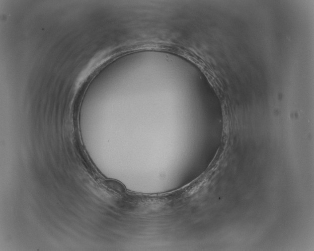 X0000073990198200609111542