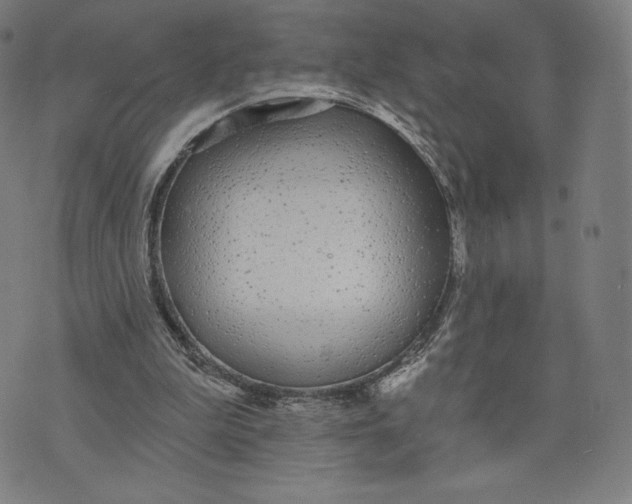 X0000073990199200609111542