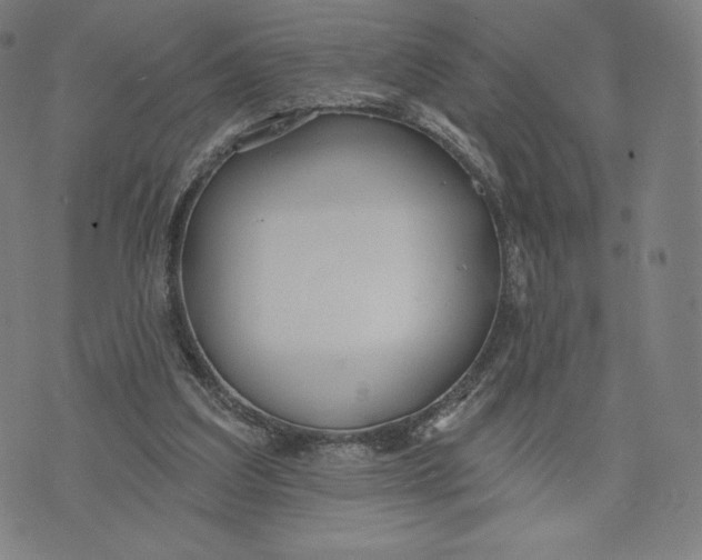 X0000073990203200609111541