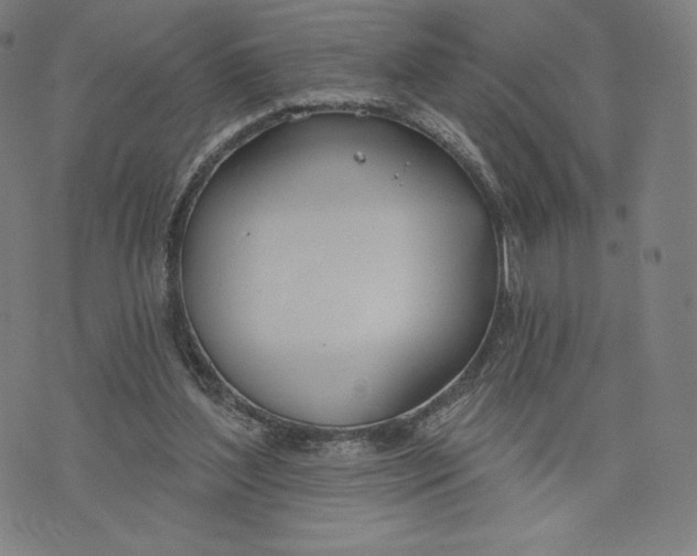 X0000073990204200609111541