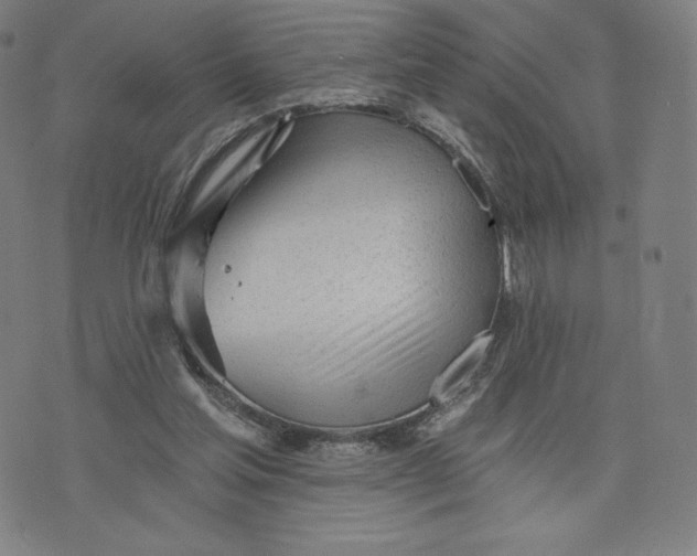 X0000073990205200609111541