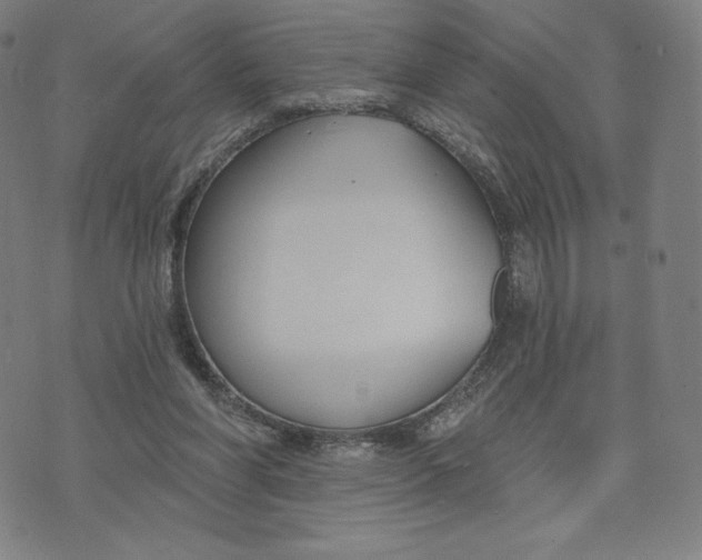 X0000073990206200609111541