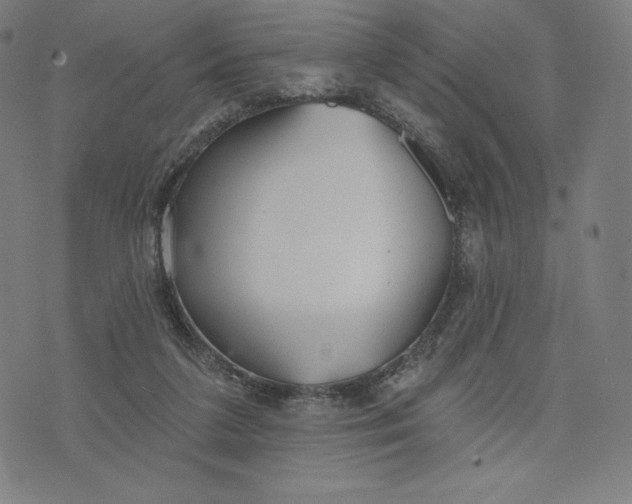 X0000073990211200609111541