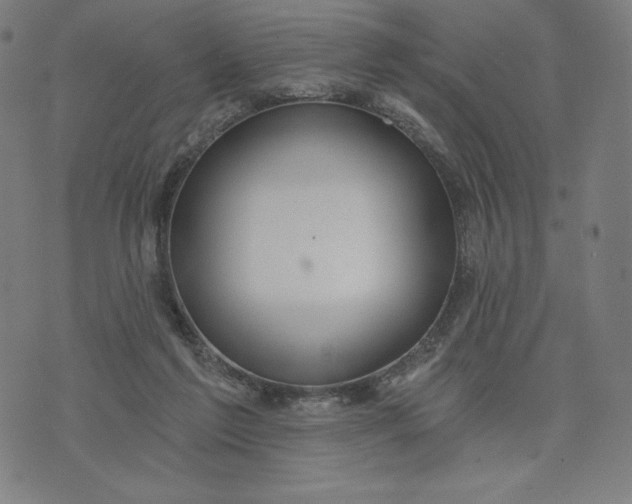 X0000073990213200609111541