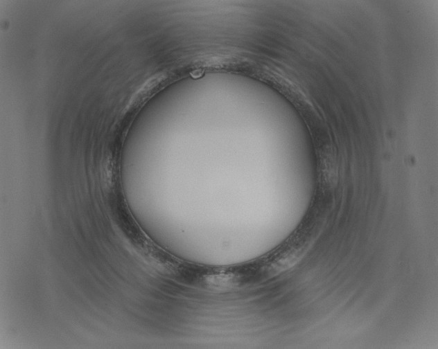 X0000073990216200609111541