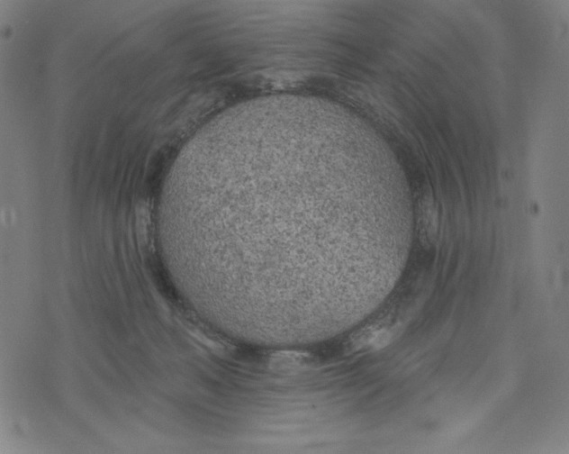 X0000073990222200609111541