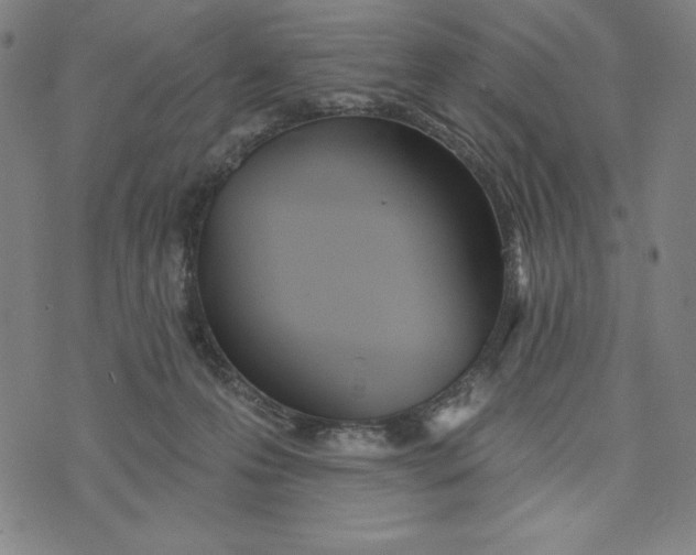 X0000073990223200609111541