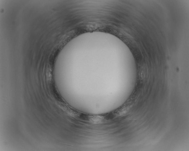 X0000073990226200609111541