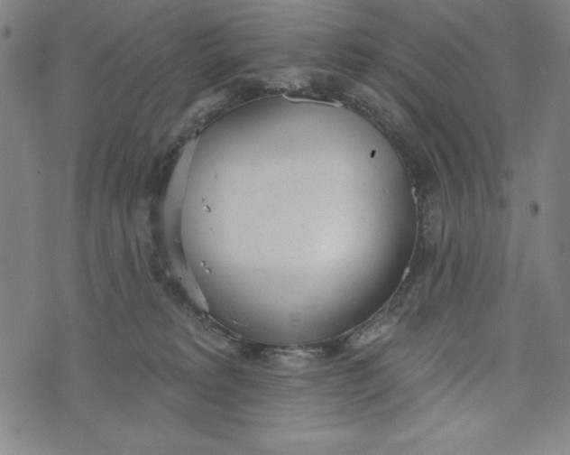 X0000073990229200609111541