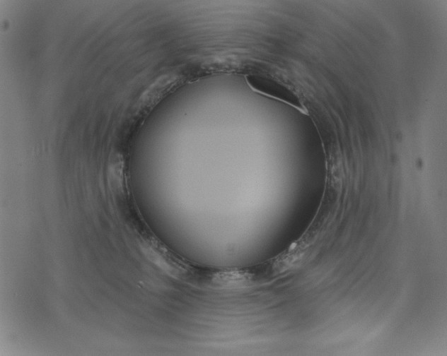 X0000073990231200609111541