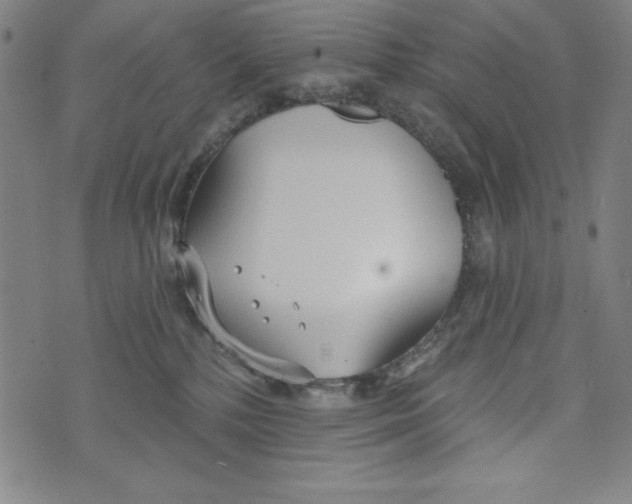 X0000073990232200609111541