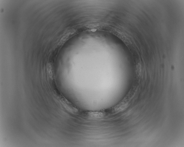 X0000073990234200609111541