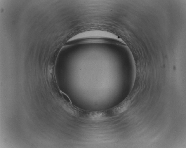 X0000073990235200609111541