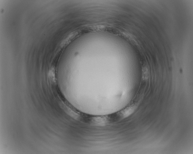 X0000073990238200609111541