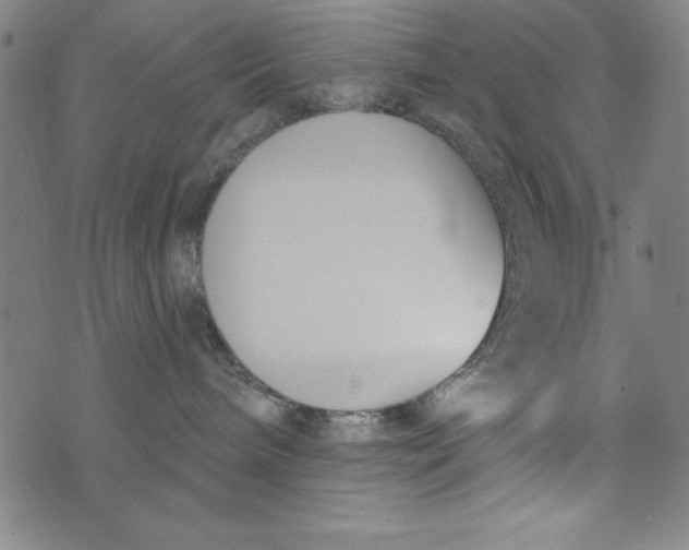 X0000073990240200609111541