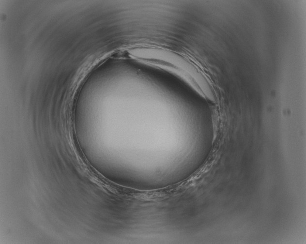 X0000073990241200609111540