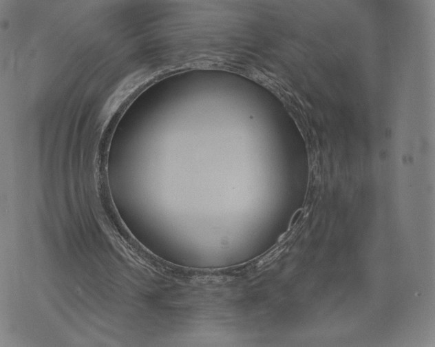 X0000073990242200609111540