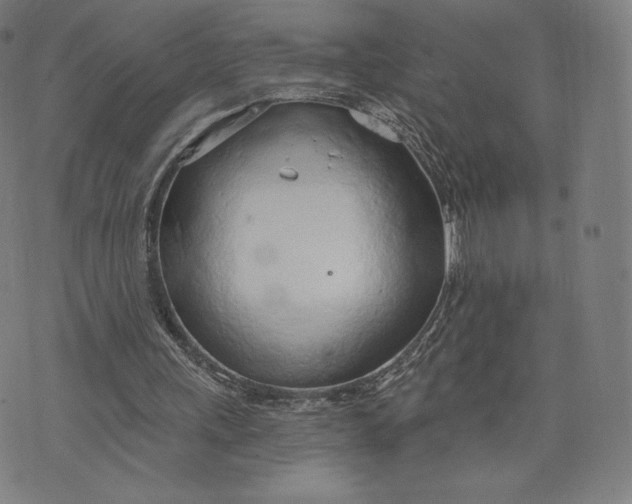 X0000073990243200609111540