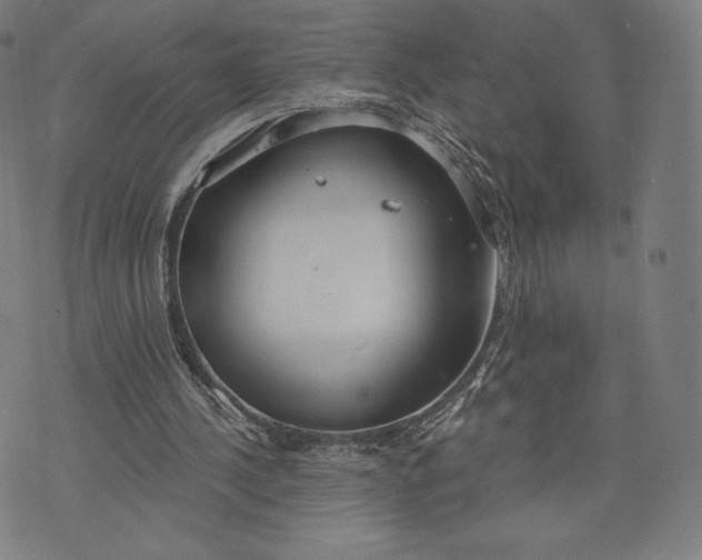 X0000073990244200609111540